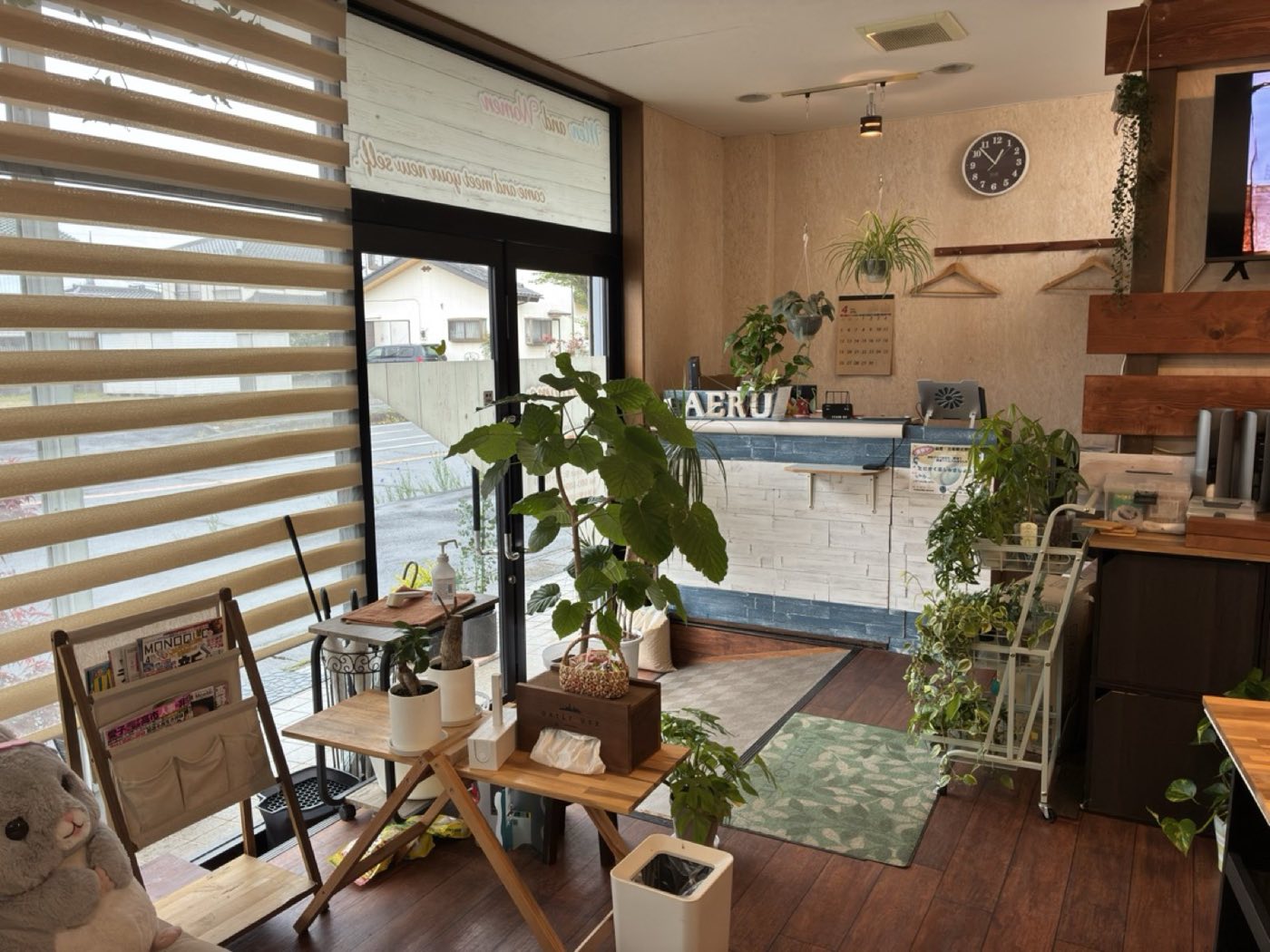 入口・受付。観葉植物がお出迎え
